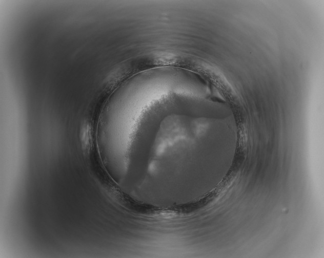 X0000101410598200807211057