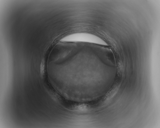 X0000101410600200807211057