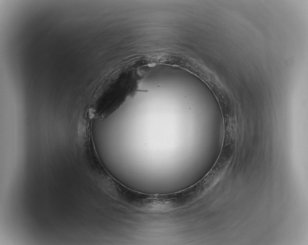 X0000101410601200807211057