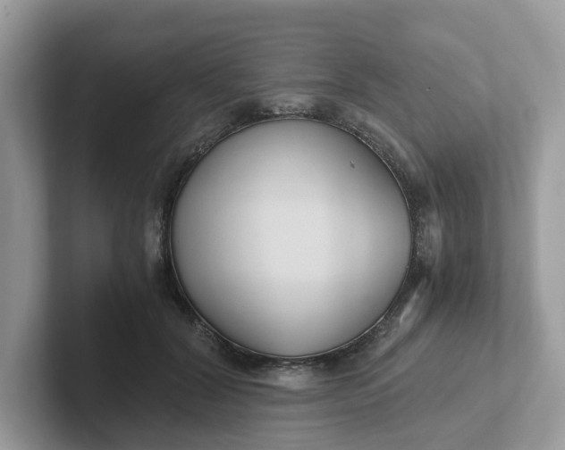 X0000101410604200807211057