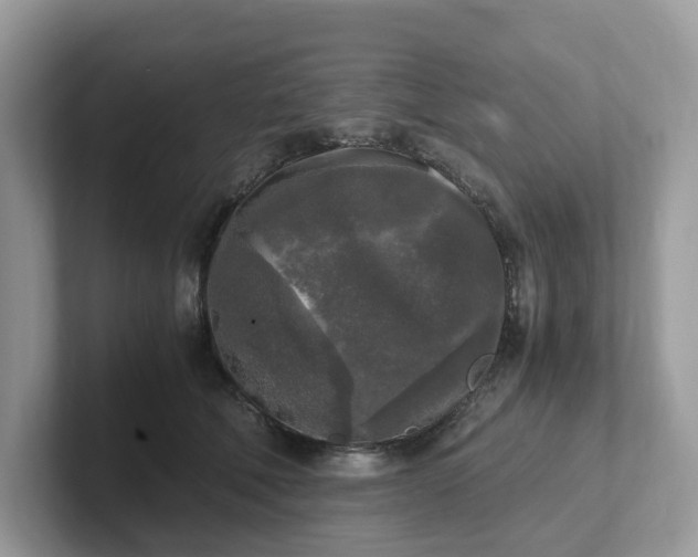 X0000101410610200807211057