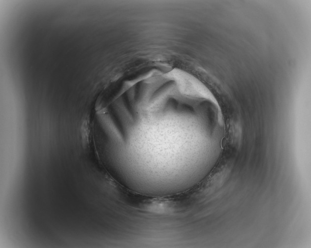 X0000101410612200807211057