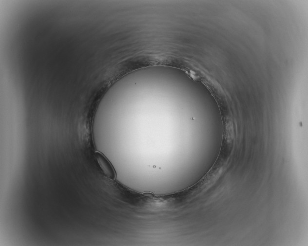 X0000101410613200807211057