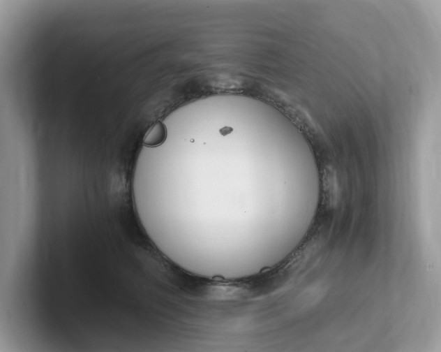 X0000101410614200807211057