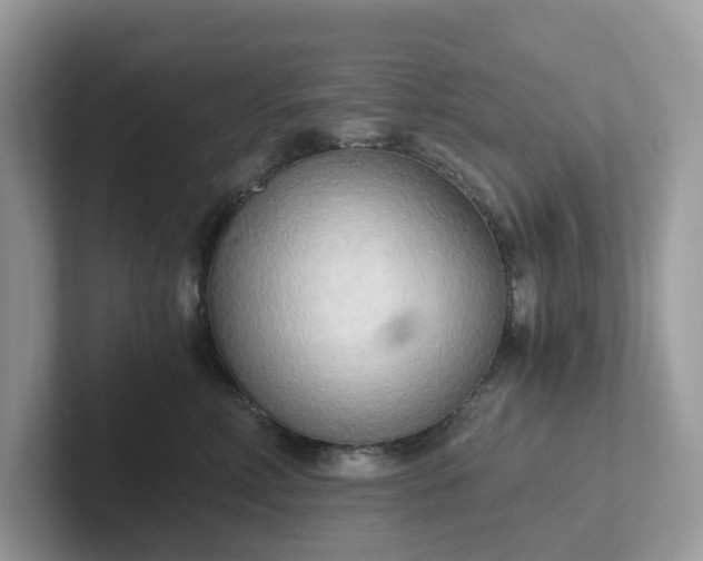 X0000101410618200807211057