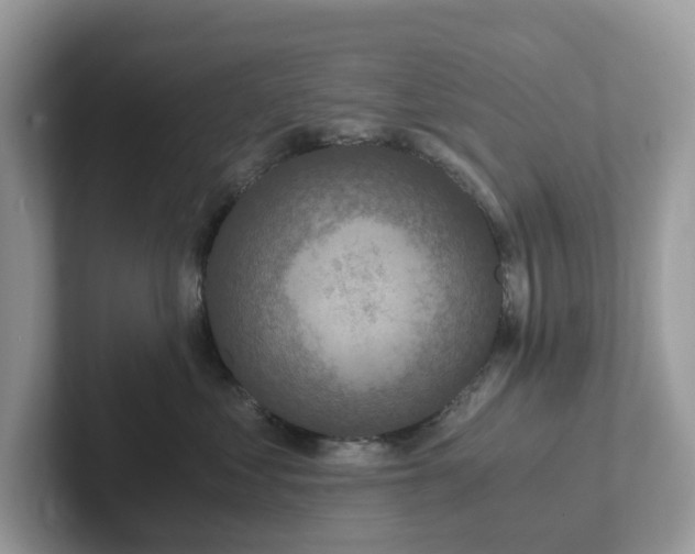 X0000101410621200807211057