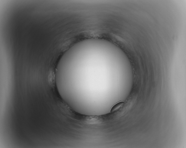 X0000101410624200807211057