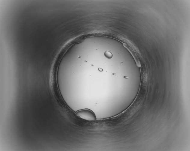 X0000101410628200807211056