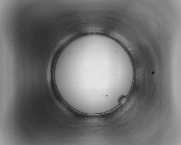 X0000101410629200807211056