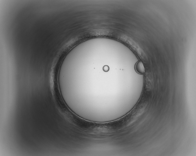 X0000101410631200807211056