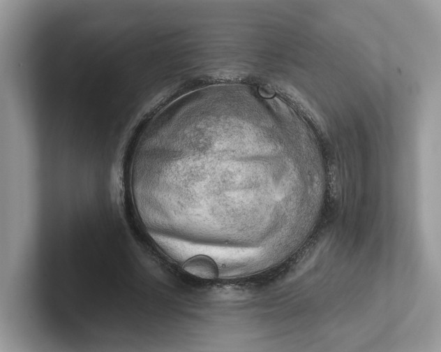 X0000101410634200807211056