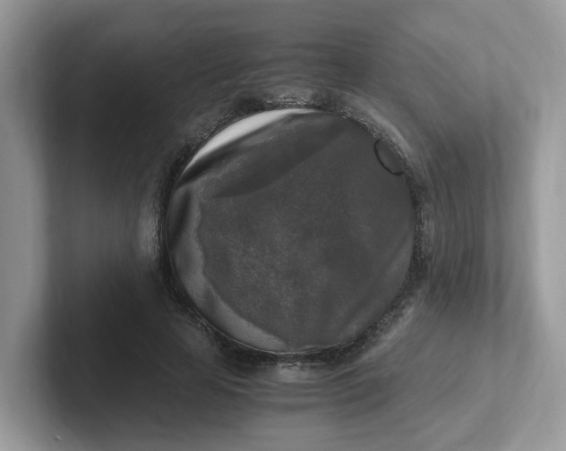 X0000101410641200807211056