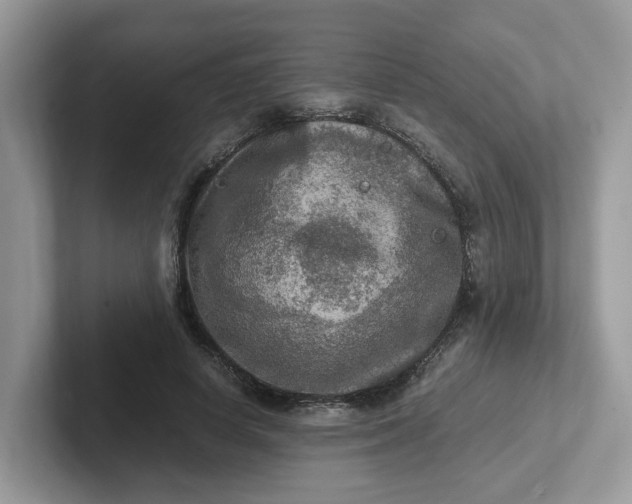 X0000101410642200807211056