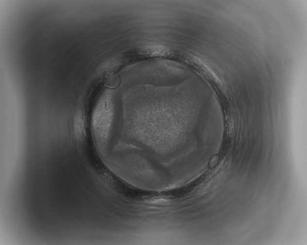 X0000101410643200807211056