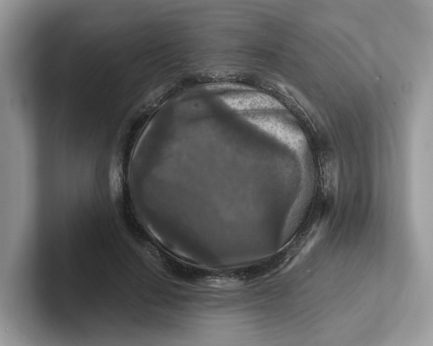 X0000101410644200807211056