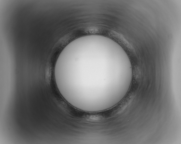 X0000101410645200807211056