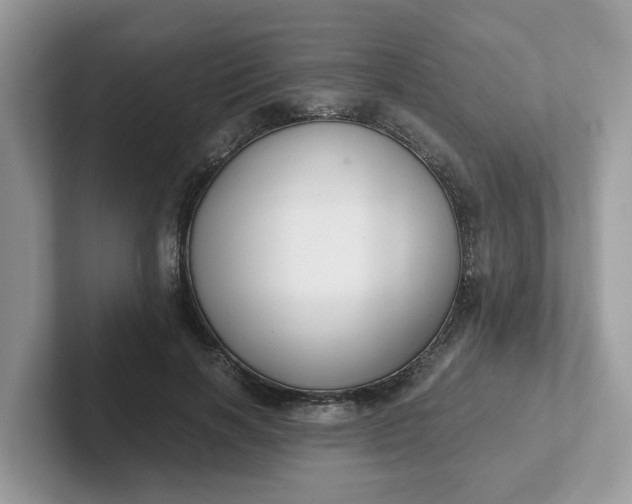 X0000101410646200807211056