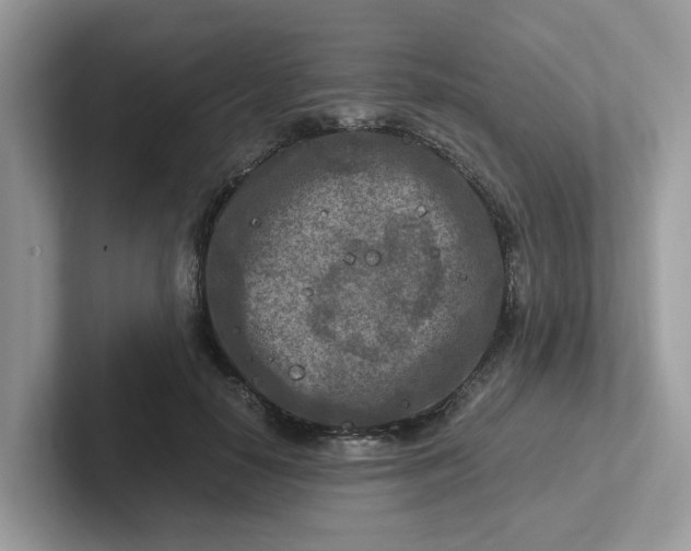 X0000101410650200807211056