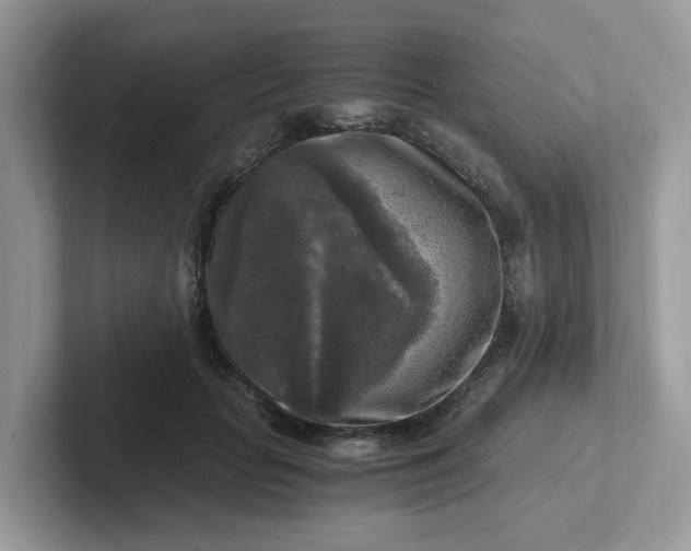 X0000101410653200807211056