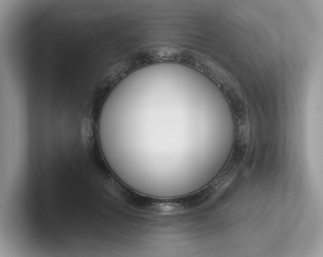 X0000101410654200807211056