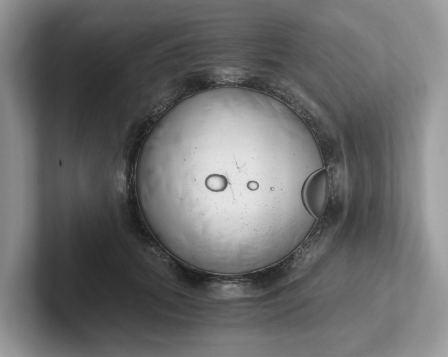 X0000101410655200807211056