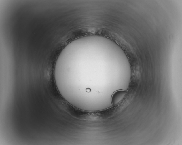 X0000101410656200807211056