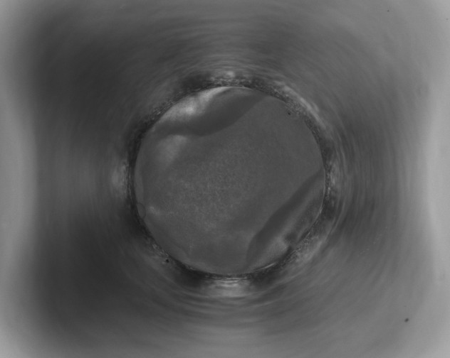 X0000101410659200807211056