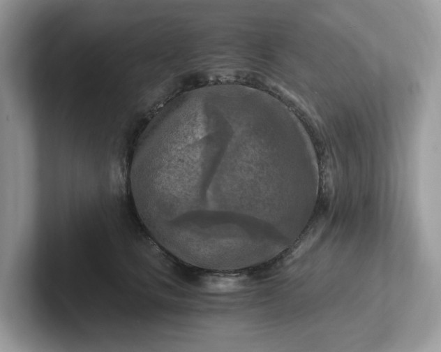 X0000101410661200807211056