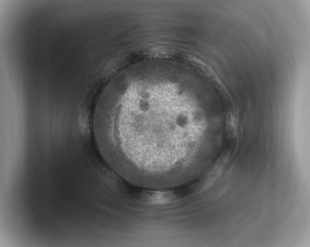 X0000101410663200807211056