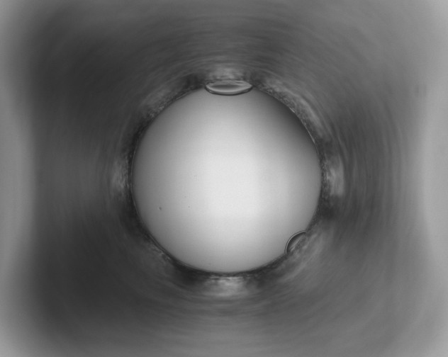 X0000101410665200807211056