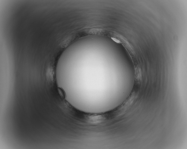 X0000101410669200807211057