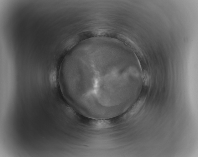 X0000101410670200807211057