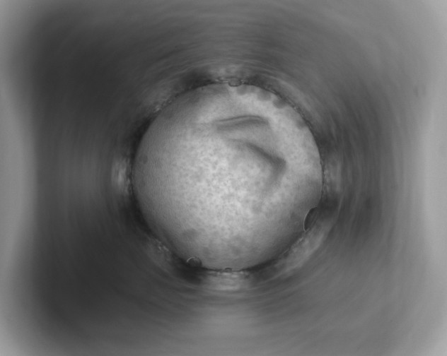 X0000101410671200807211057