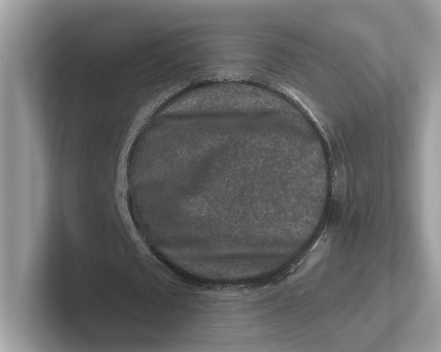 X0000101410673200807211056