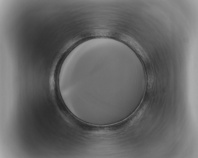 X0000101410674200807211056