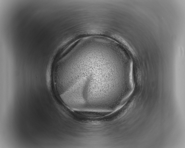 X0000101410677200807211056