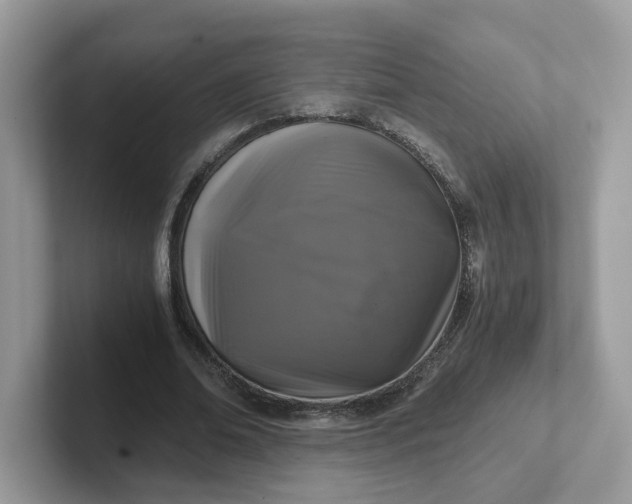 X0000101410678200807211056