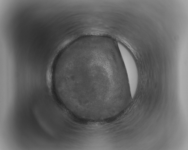 X0000101410679200807211056