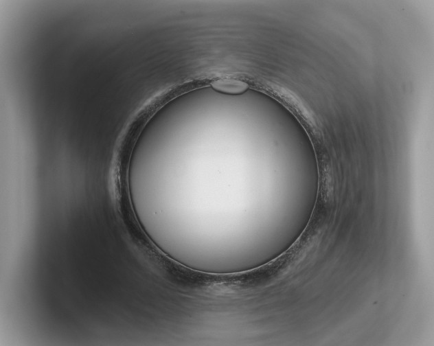 X0000101410680200807211056