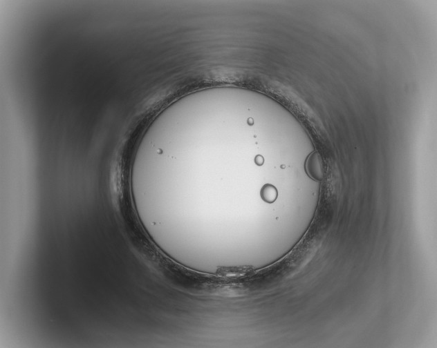 X0000101410683200807211056