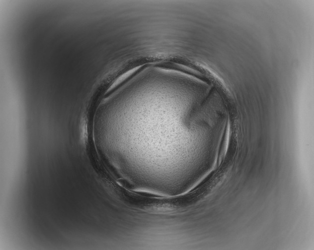 X0000101410685200807211056