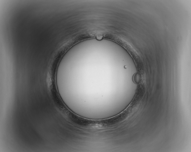 X0000101410687200807211056