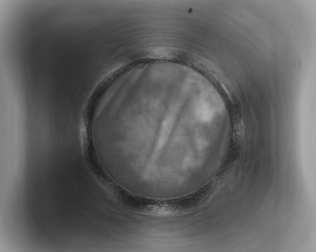 X0000101410688200807211056