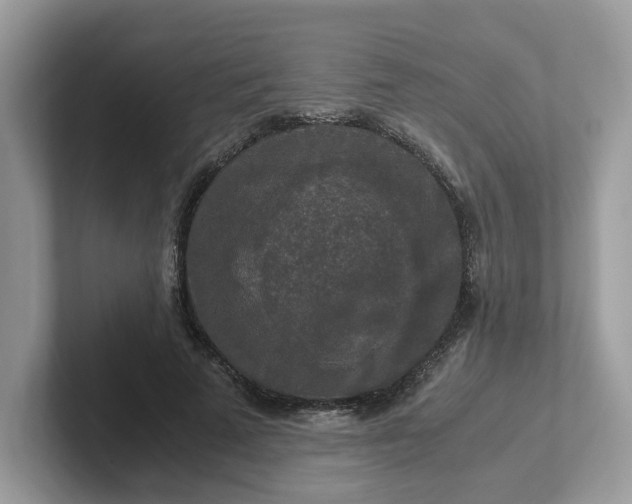 X0000101410689200807211056