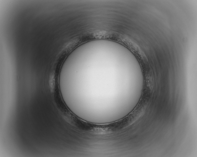 X0000101410690200807211056