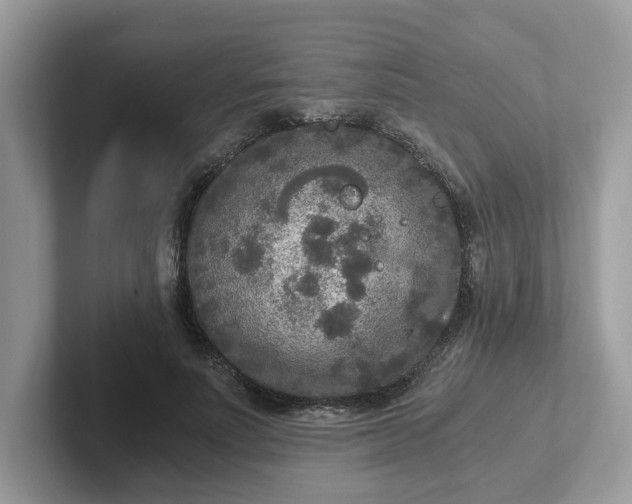 X0000101410691200807211056