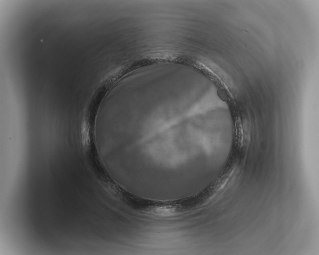 X0000101410692200807211056