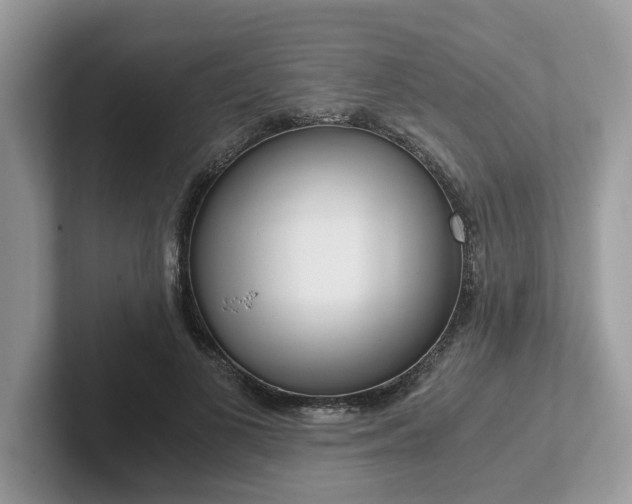 X0000101410693200807211056