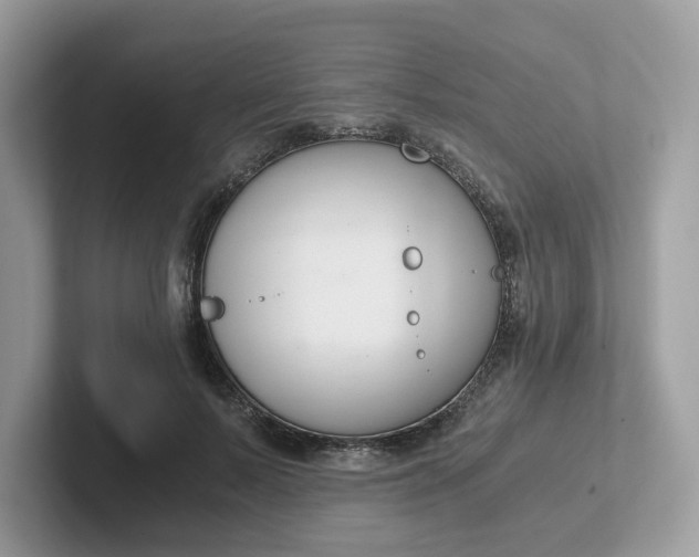 X0000101410695200807211056