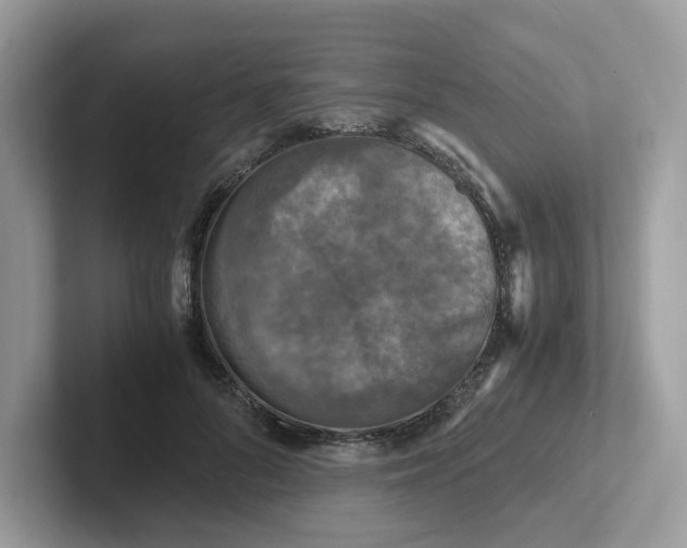 X0000101410696200807211056